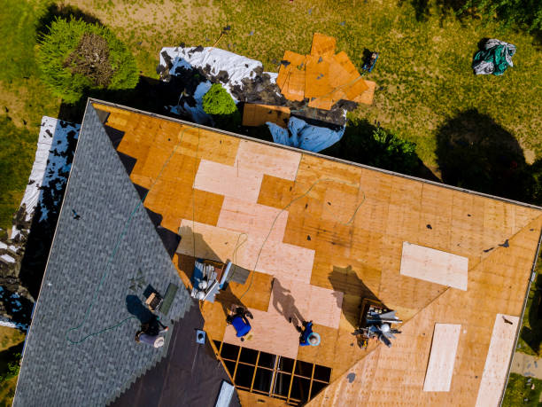 Best Roof Maintenance Services  in Fort Washakie, WY