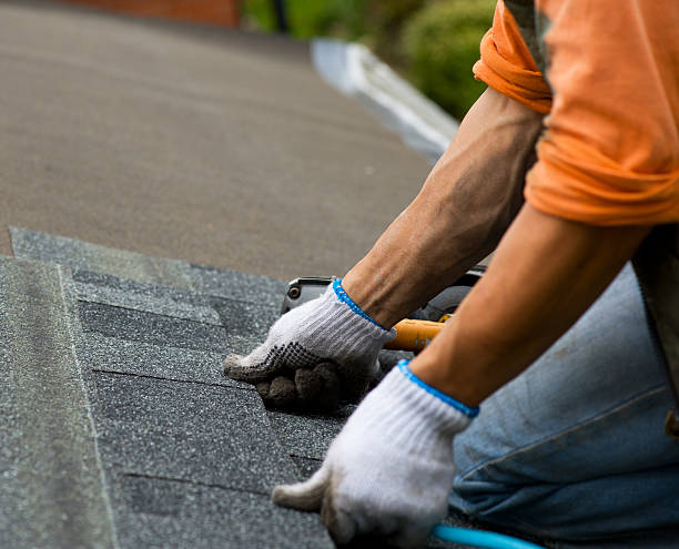 Best Metal Roofing Contractor  in Fort Washakie, WY